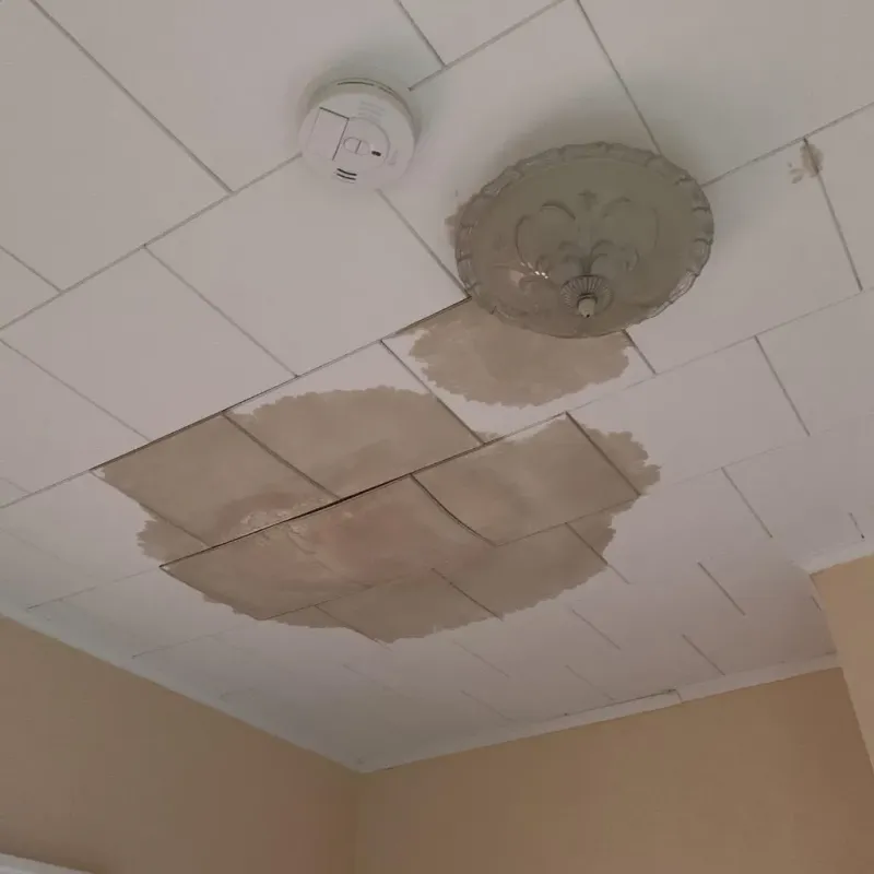 Ceiling Water Damage Repair in Morris, OK