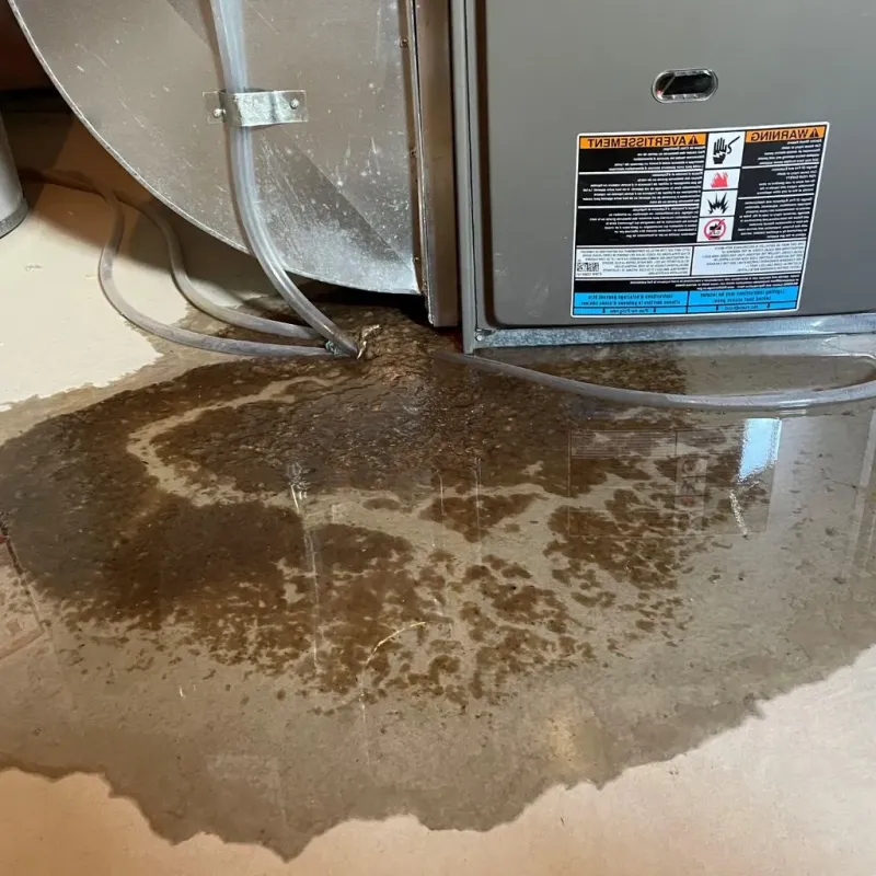 Pipe Burst and Leak Restoration in Morris, OK